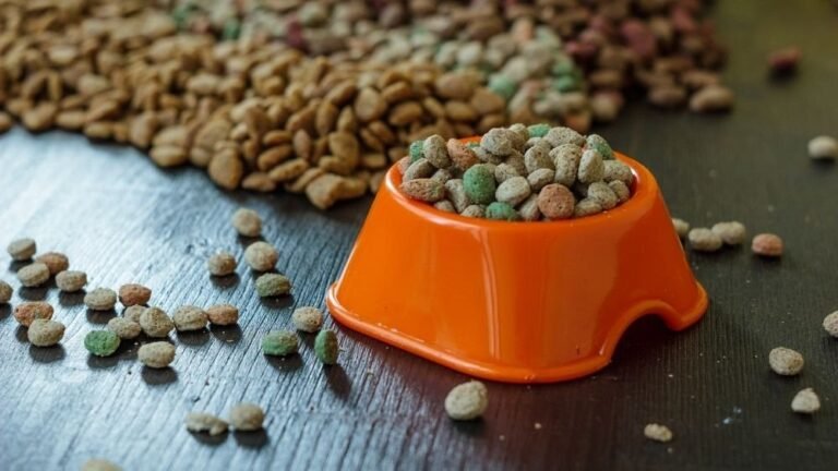 A Buyer’s Guide to Pet Food: How to Choose the Right Food for Your Pet